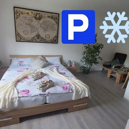Pension Ringo, Airport Pit Stop, Bahnhof Und Flughafen In Der Naehe バーデン＝バーデン エクステリア 写真